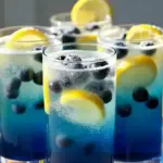 Blueberry Lemonade Fizz