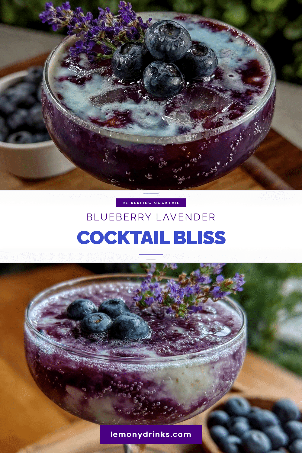 blueberry lavender cocktail recipe recipe
