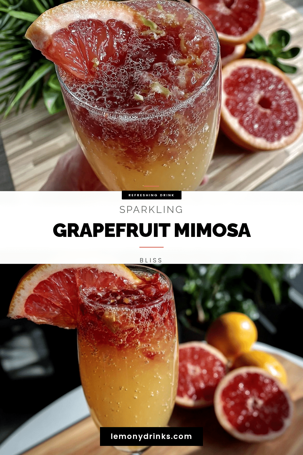 grapefruit mimosa recipe recipe