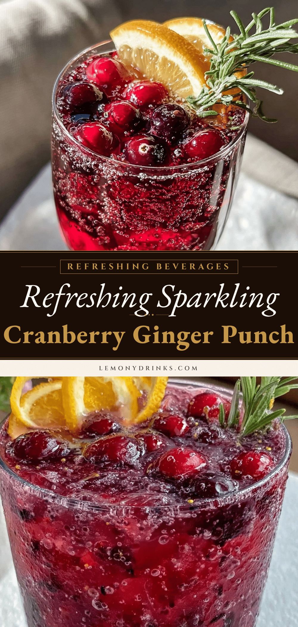 sparkling cranberry ginger punch recipe