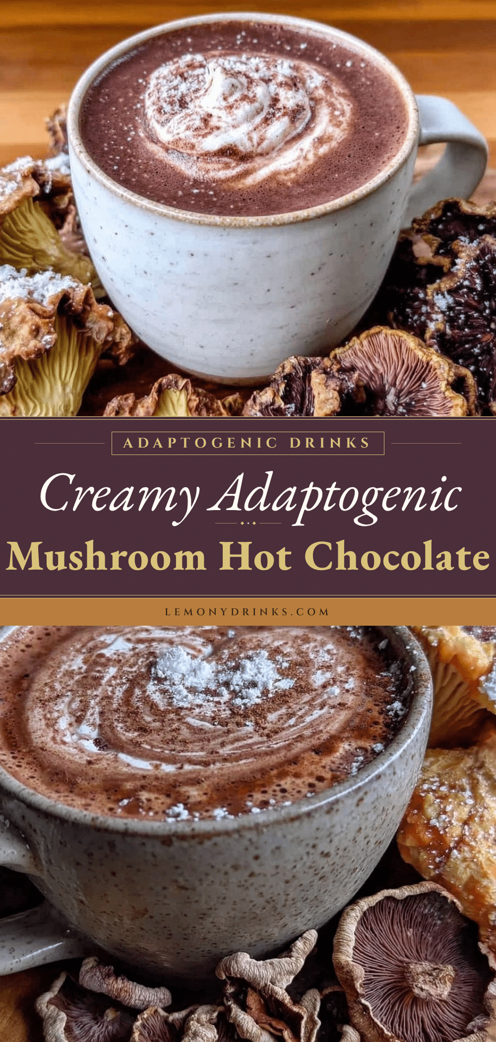 creamy adaptogenic mushroom hot chocolate recipe