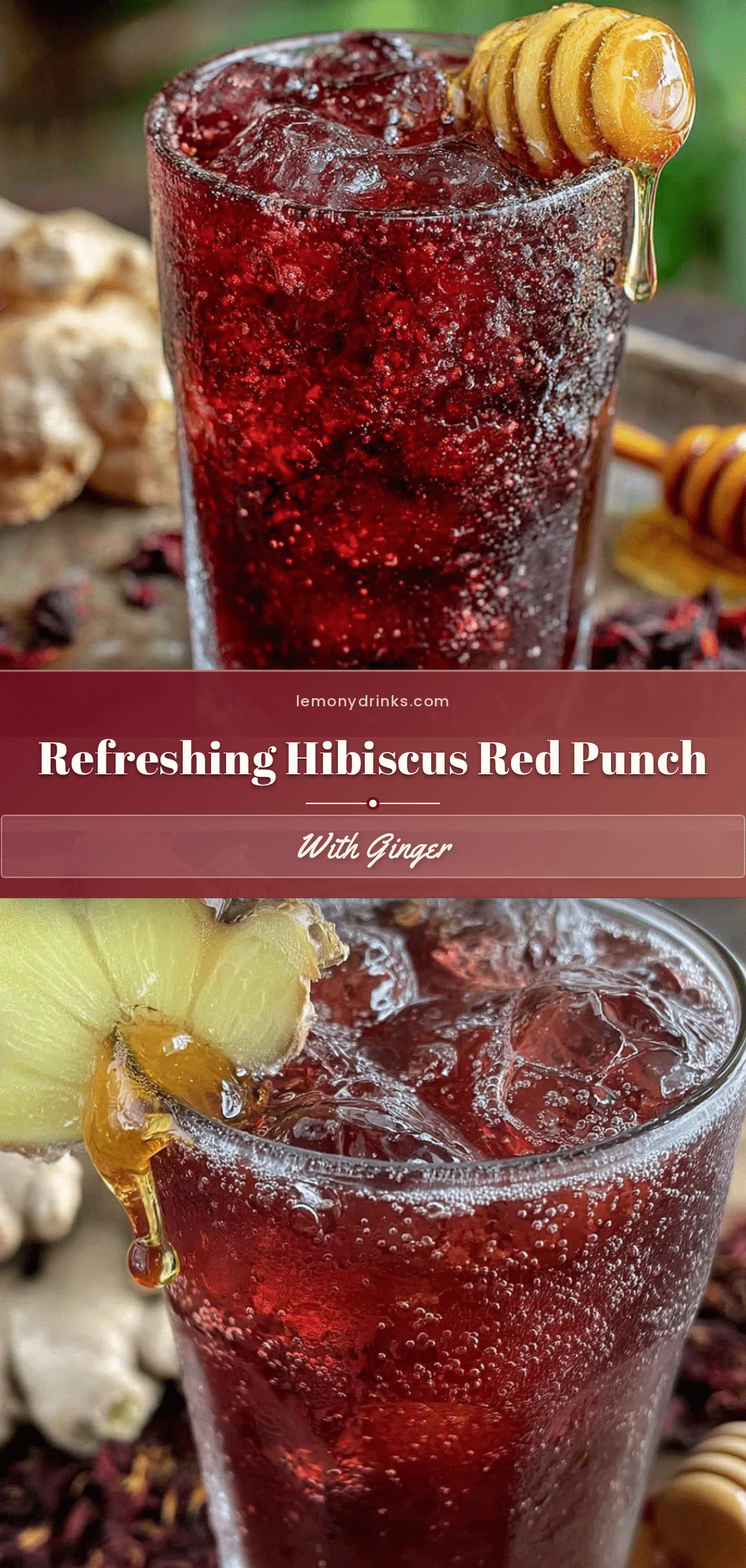 hibiscus red punch recipe recipe