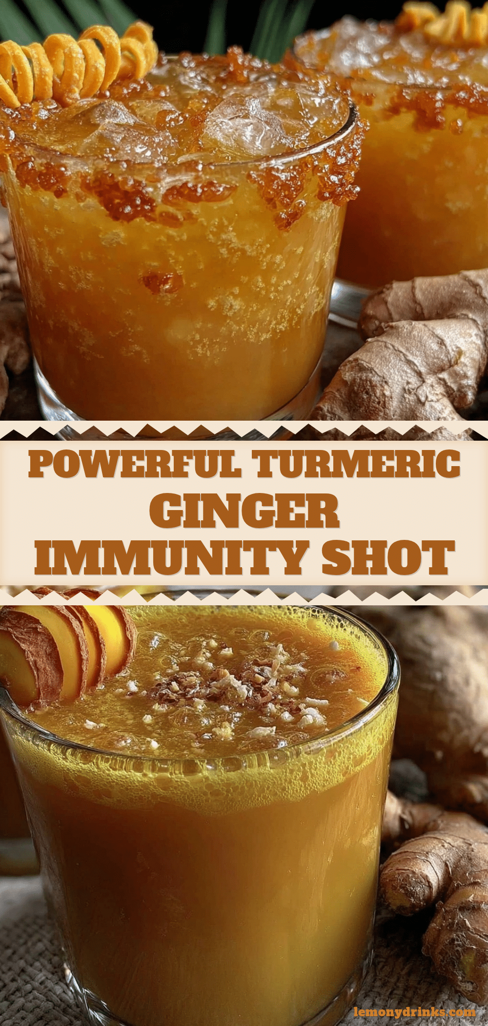 turmeric ginger immunity shot recipe