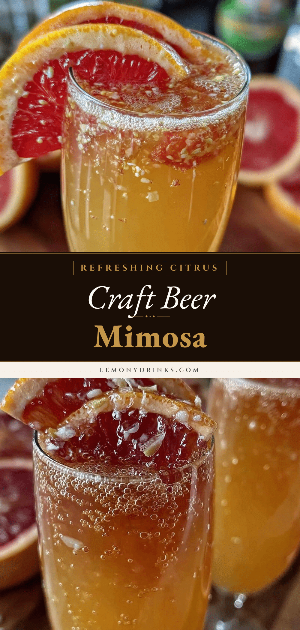 craft beer mimosa recipe