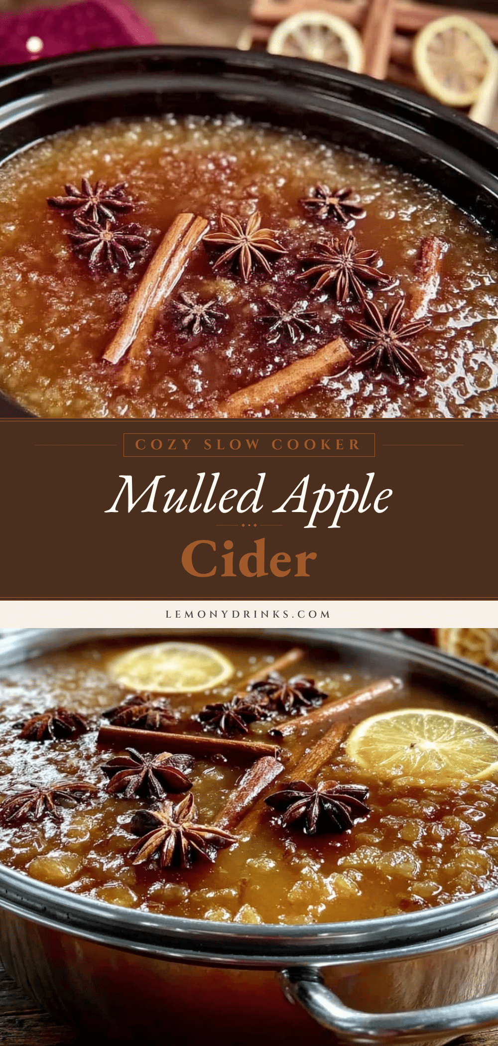 slow cooker mulled apple cider recipe