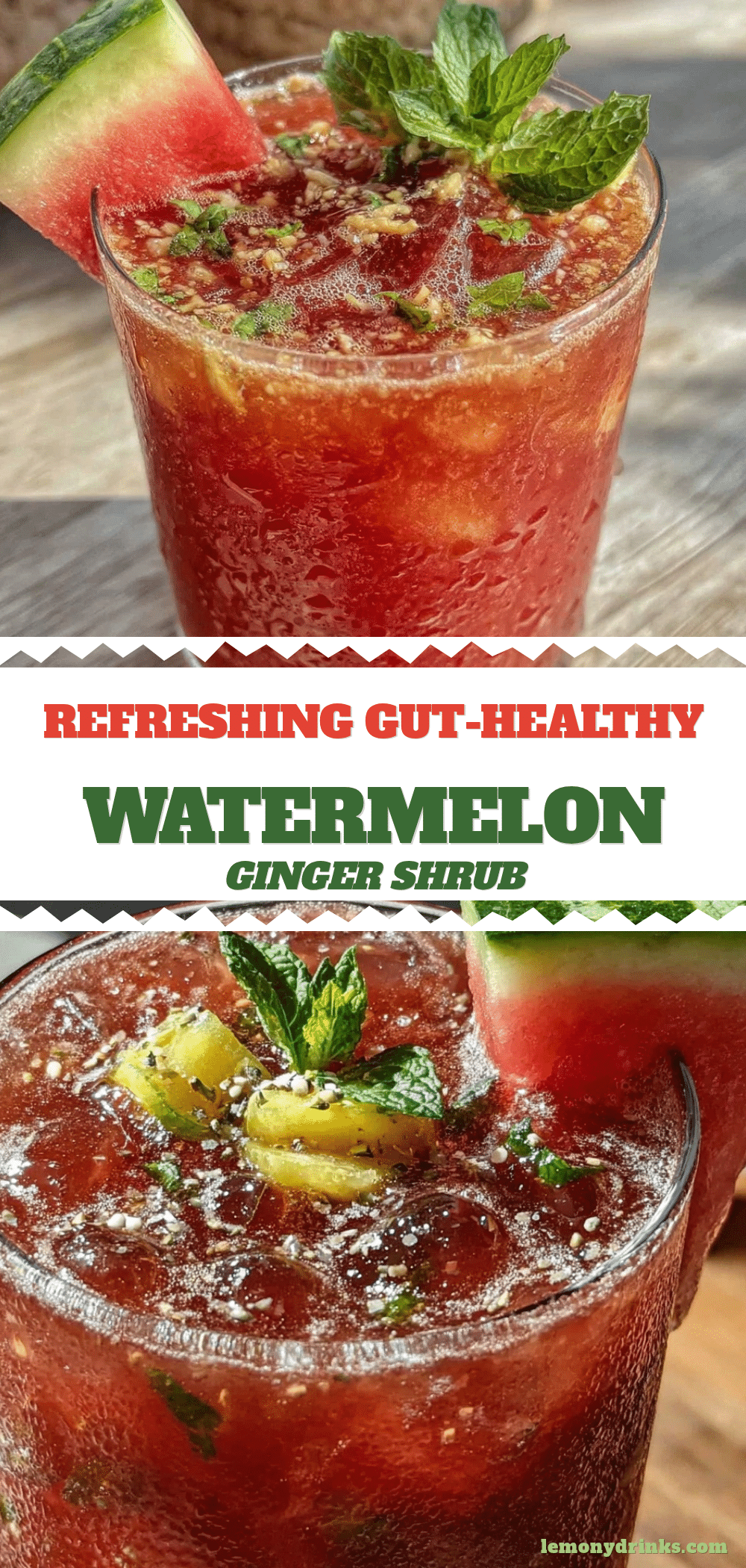 watermelon ginger shrub mocktail recipe