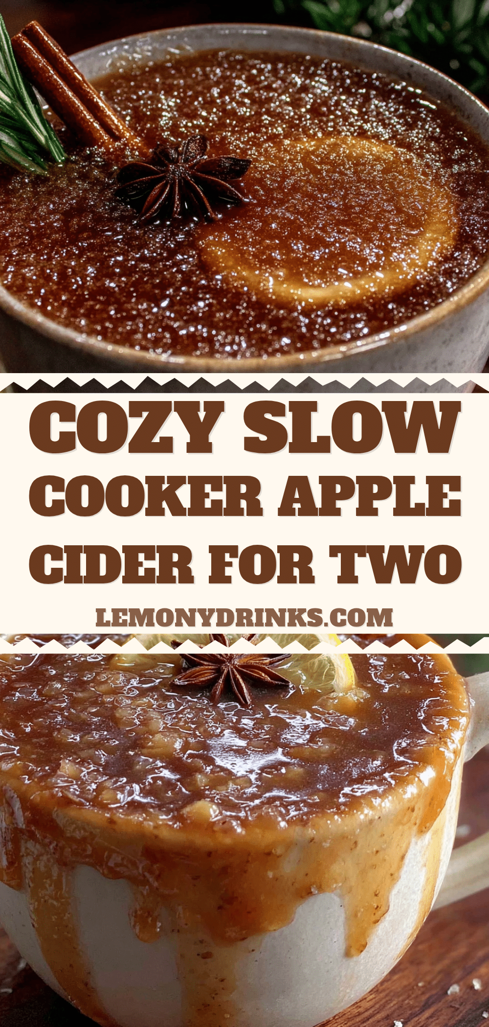 cozy slow cooker apple cider for two recipe